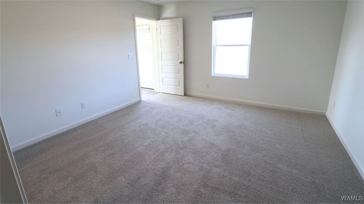 11330 Tulip Trace, Tuscaloosa, Alabama image 10