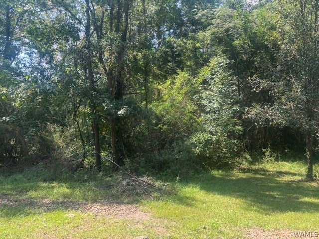 15319 Hwy 140