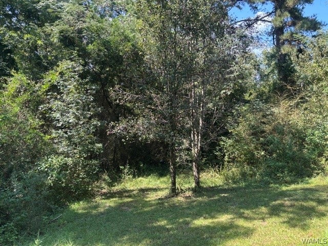 15319 Hwy 140