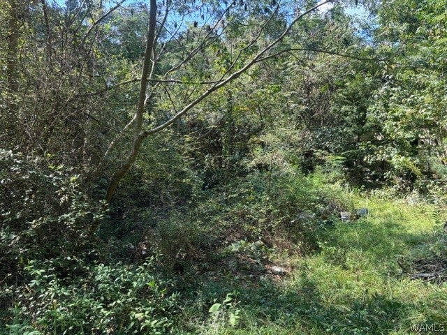 15319 Hwy 140