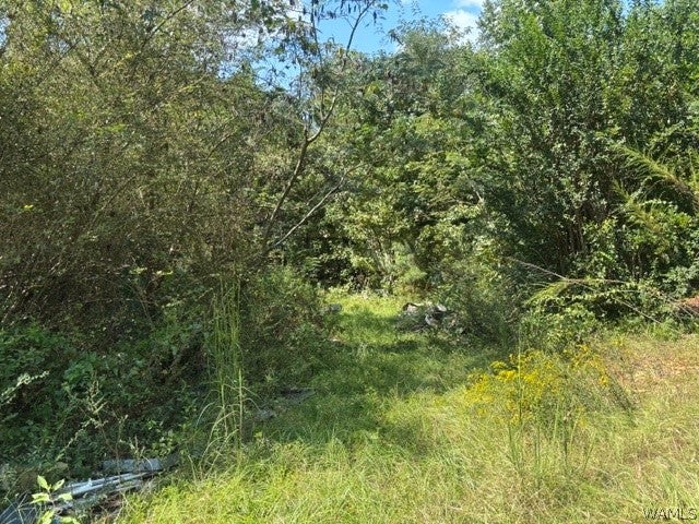 15319 Hwy 140