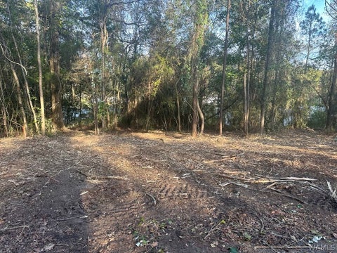 Vacant Land For Sale - LOT 65 Blue Pine Circle<br/> Brookwood, AL 35444