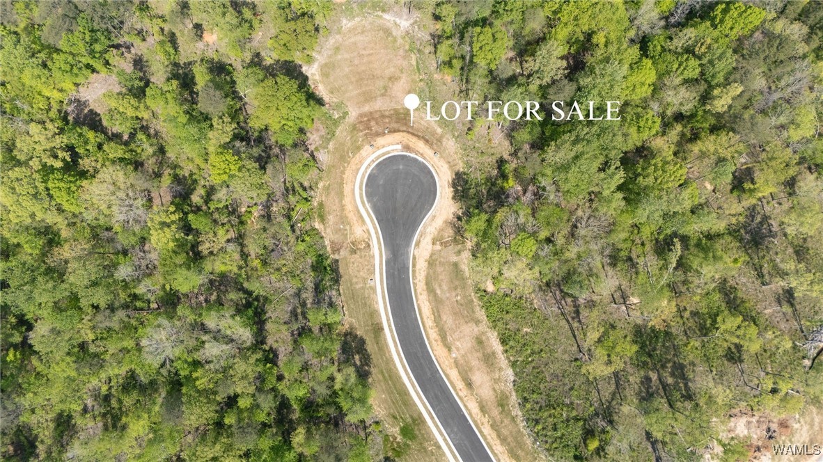 91 Cyprus Cove, Tuscaloosa, Alabama image 3
