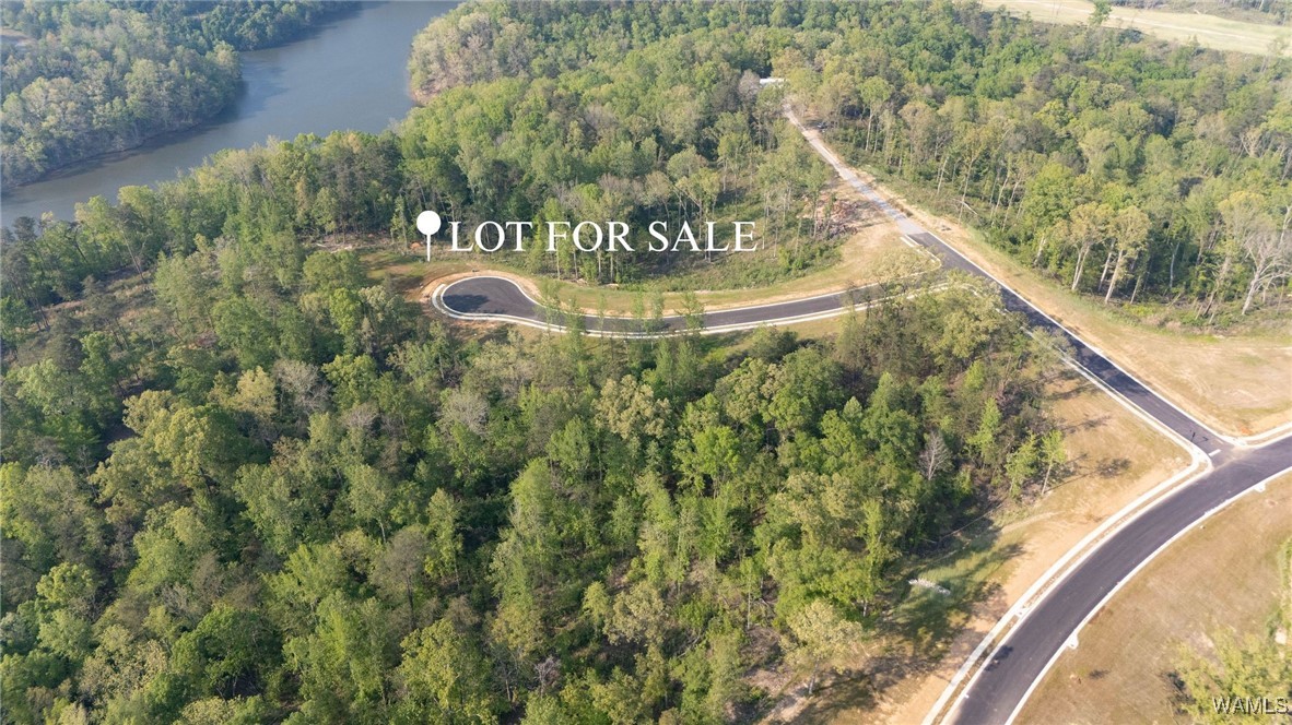 91 Cyprus Cove, Tuscaloosa, Alabama image 4