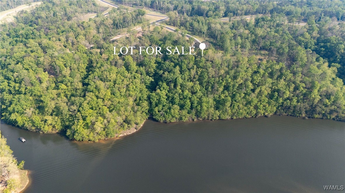 91 Cyprus Cove, Tuscaloosa, Alabama image 1