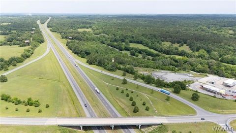 Vacant Land For Sale - 000 Us 28<br/> Livingston, AL 35470