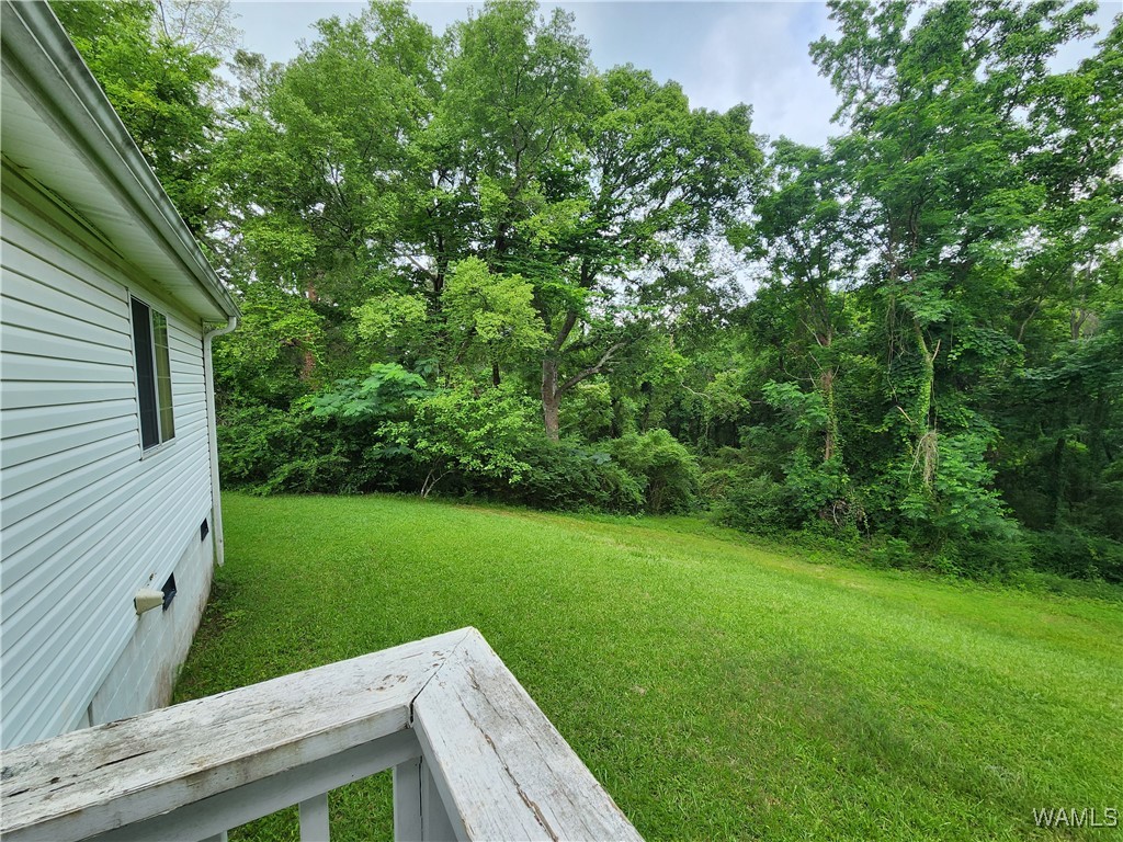 14735 Old Greensboro Road, Tuscaloosa, Alabama image 20