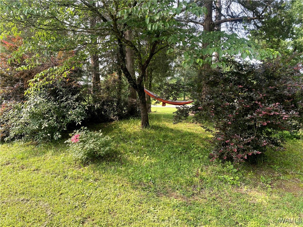 14735 Old Greensboro Road, Tuscaloosa, Alabama image 24