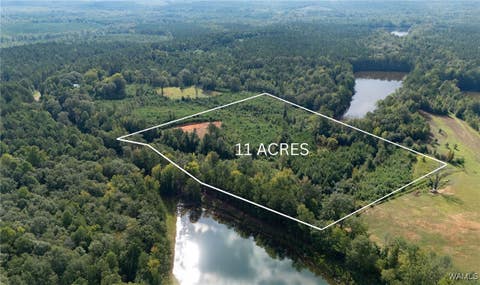 Vacant Land For Sale - 00 County Rd 51<br/> Hale County, Greensboro, AL 36744