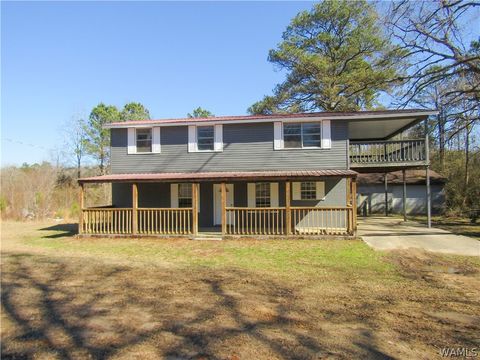 Homes For Sale - 16541 Highway 171<br/> North Port, AL 35475