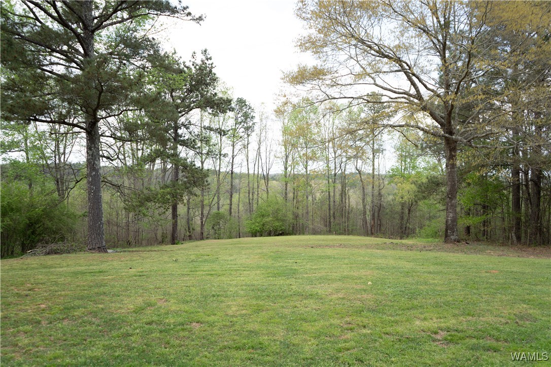 1061 County Rd 131, Fayette, Alabama image 48
