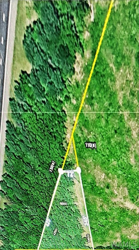 Vacant Land For Sale - Shepherd Park Road<br/> Tuscaloosa County, Knoxville, AL 35469