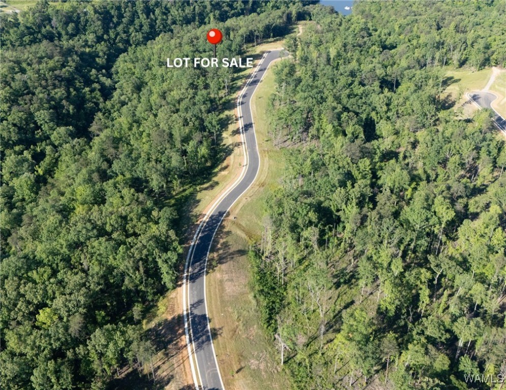 22 Fiji Way, Tuscaloosa, Alabama image 1