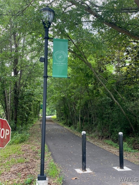 00 3rd Avenue, Fayette, Alabama image 2