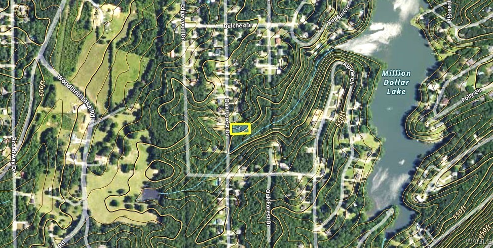 LOT 43 Brookwood Est22, Brookwood, Alabama image 1