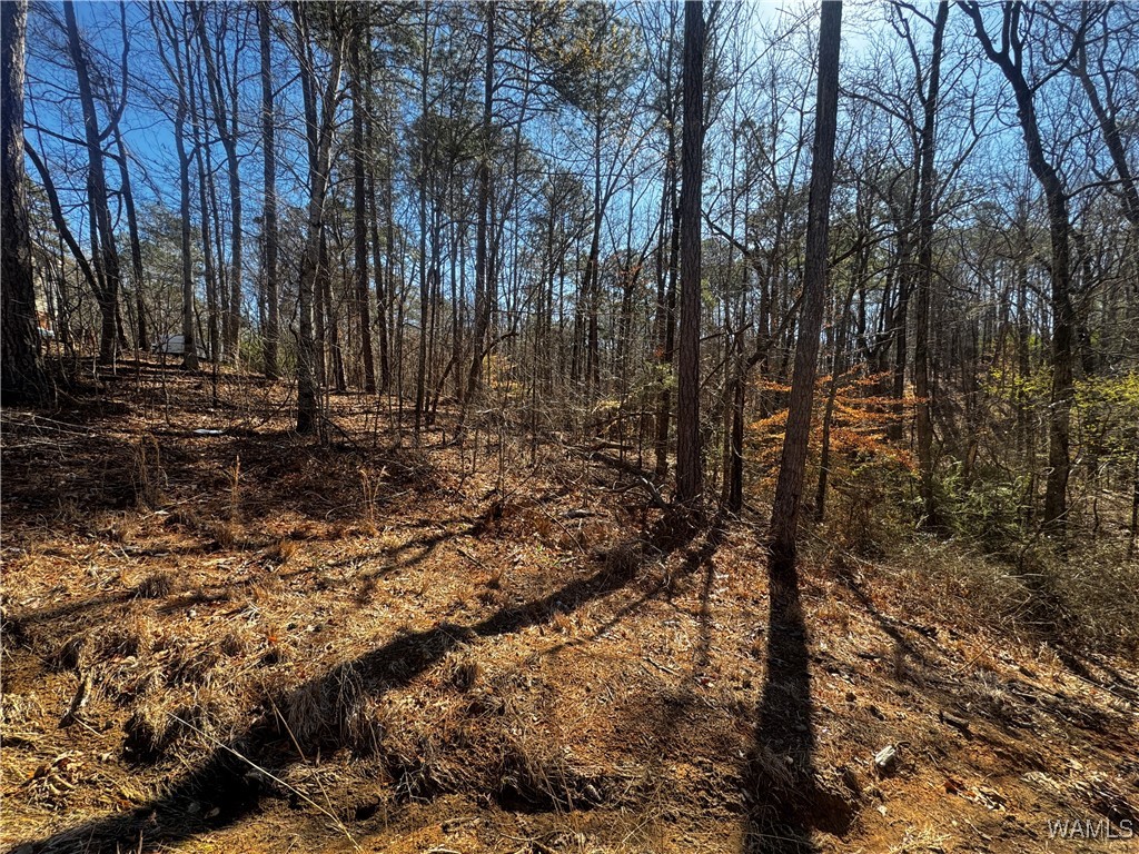 LOT 43 Brookwood Est22, Brookwood, Alabama image 3