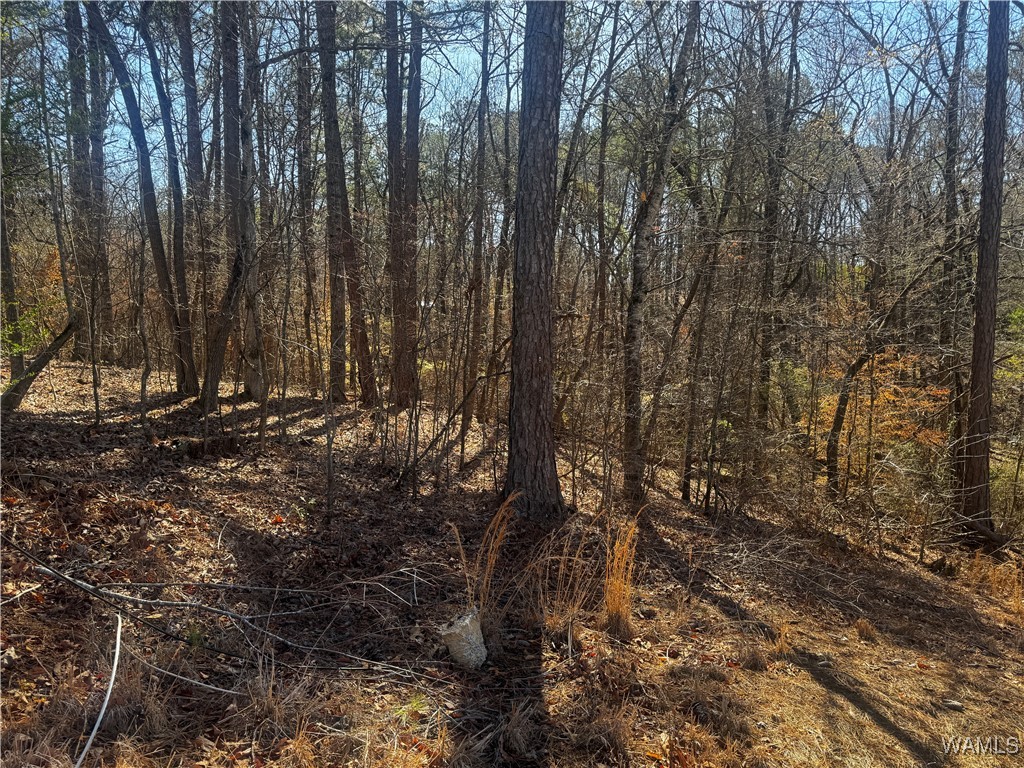 LOT 43 Brookwood Est22, Brookwood, Alabama image 2