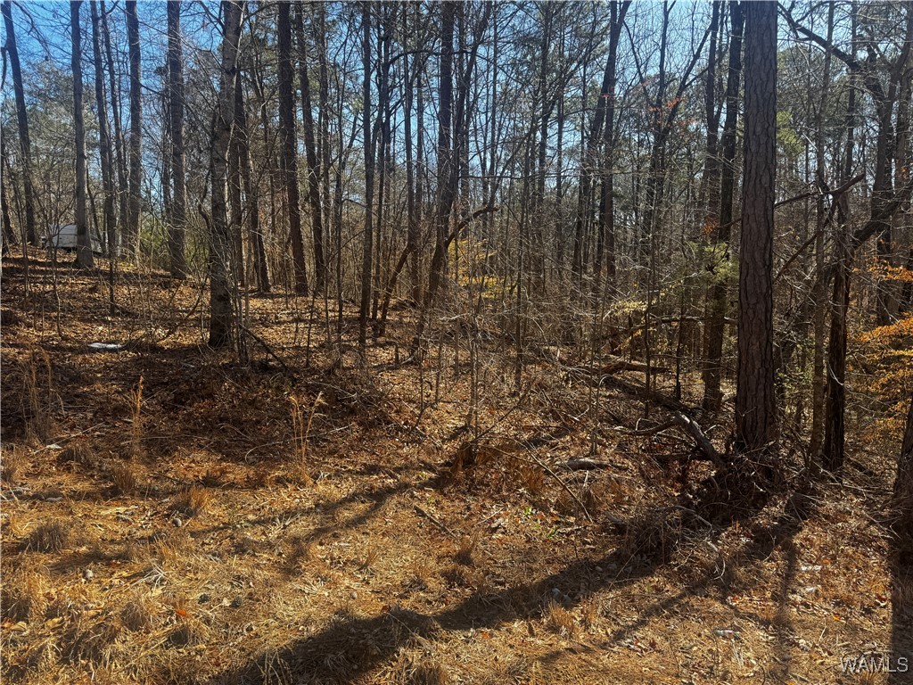 LOT 43 Brookwood Est22, Brookwood, Alabama image 4