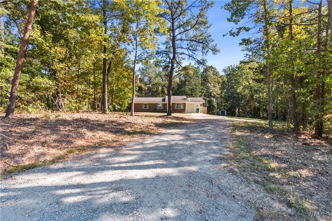 14201 Chapel Park Dr Dr, Cottondale, Alabama image 4