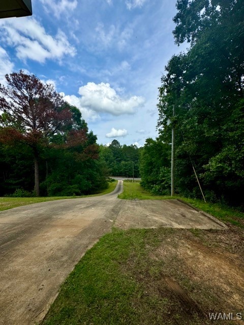 12394 Timber Heights Road, Ralph, Alabama image 7