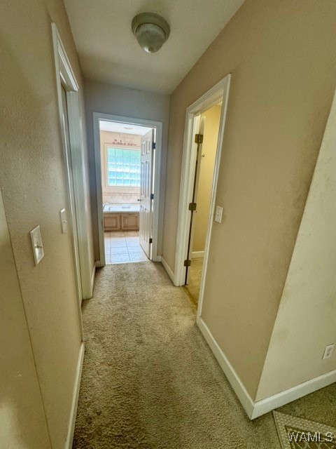 12394 Timber Heights Road, Ralph, Alabama image 24