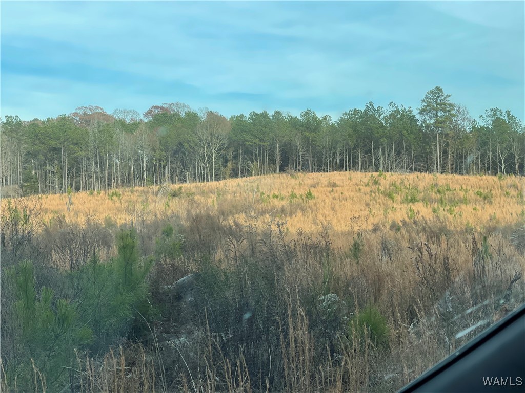 0-B Co 17 Road, Millport, Alabama image 4