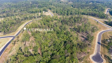Vacant Land For Sale - 64 Anguilla Avenue<br/> Tuscaloosa, AL 35406
