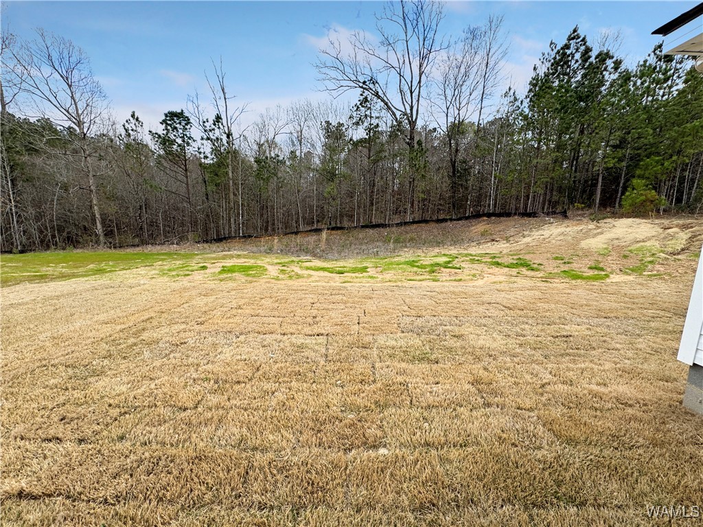 5941 73rd Place, Cottondale, Alabama image 26