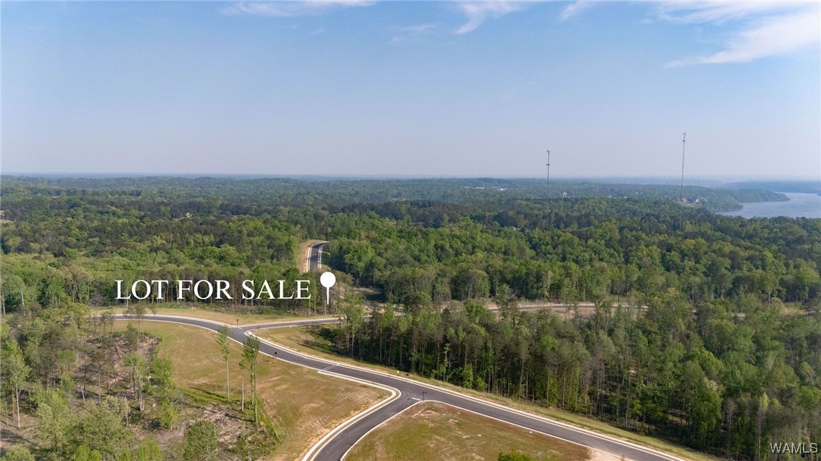 12 Emeralds Edge Boulevard, Tuscaloosa, Alabama image 4