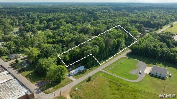 0 JONES STREET, GREENSBORO, AL 36744 - Image b06ae1ba60f2ffed447dea721364f4bc/2360495729