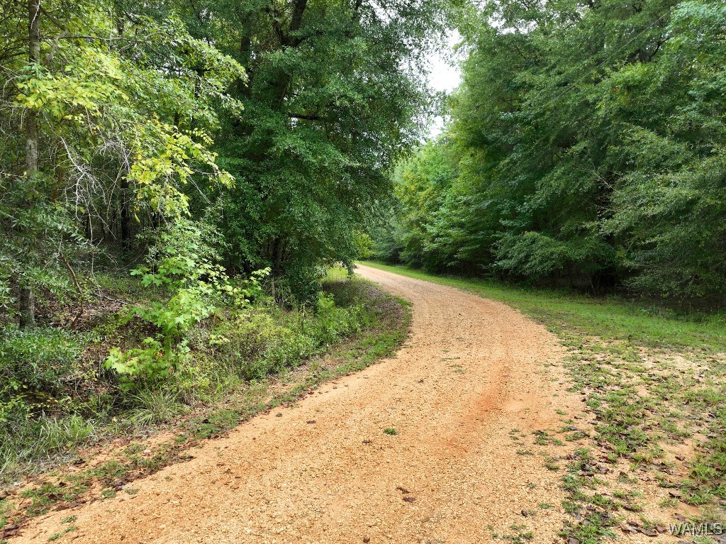 119 Twin Oaks Drive, Moundville, Alabama image 15