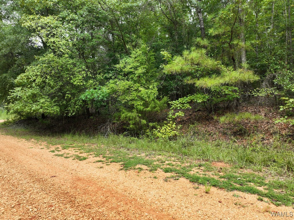 119 Twin Oaks Drive, Moundville, Alabama image 16