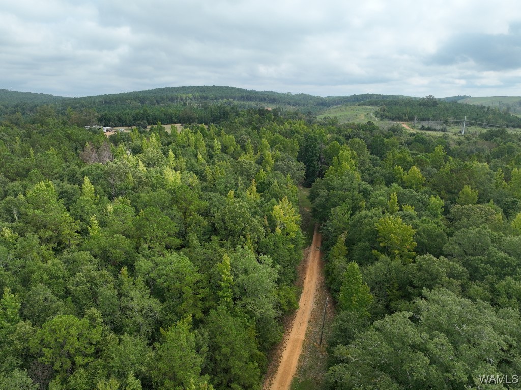 119 Twin Oaks Drive, Moundville, Alabama image 8
