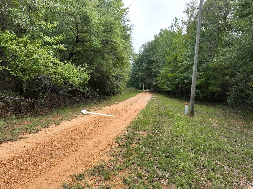119 Twin Oaks Drive, Moundville, Alabama image 17
