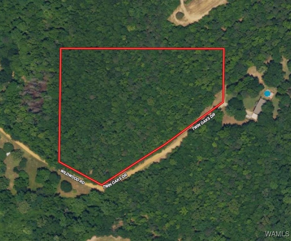 119 Twin Oaks Drive, Moundville, Alabama image 2