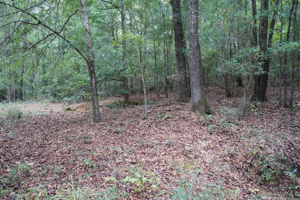 119 Twin Oaks Drive, Moundville, Alabama image 22