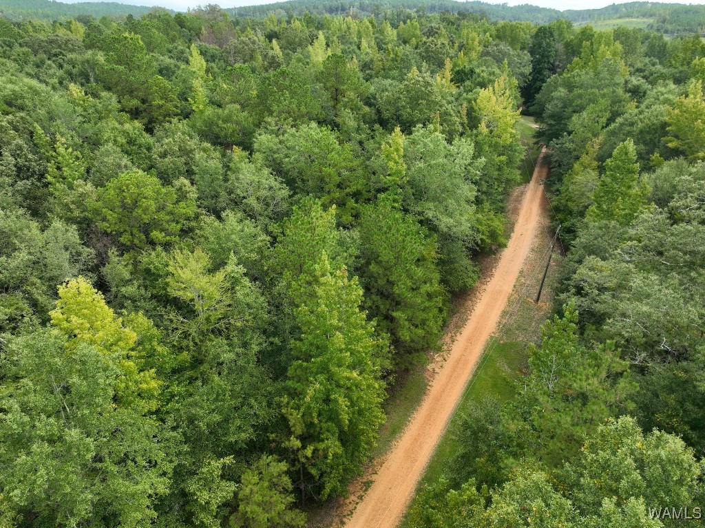 119 Twin Oaks Drive, Moundville, Alabama image 13