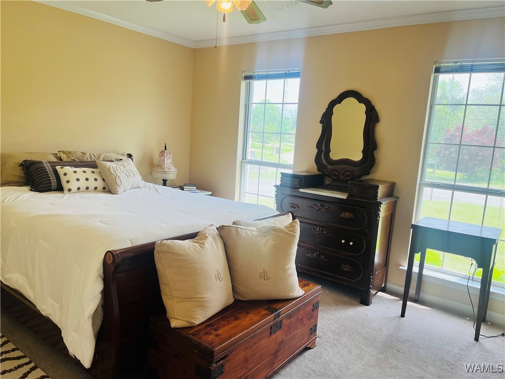 1102 Phil Harper Drive, Demopolis, Alabama image 11