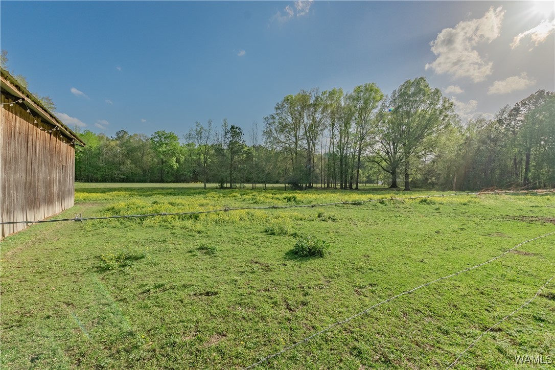 13330 Highway 11, Fosters, Alabama image 33