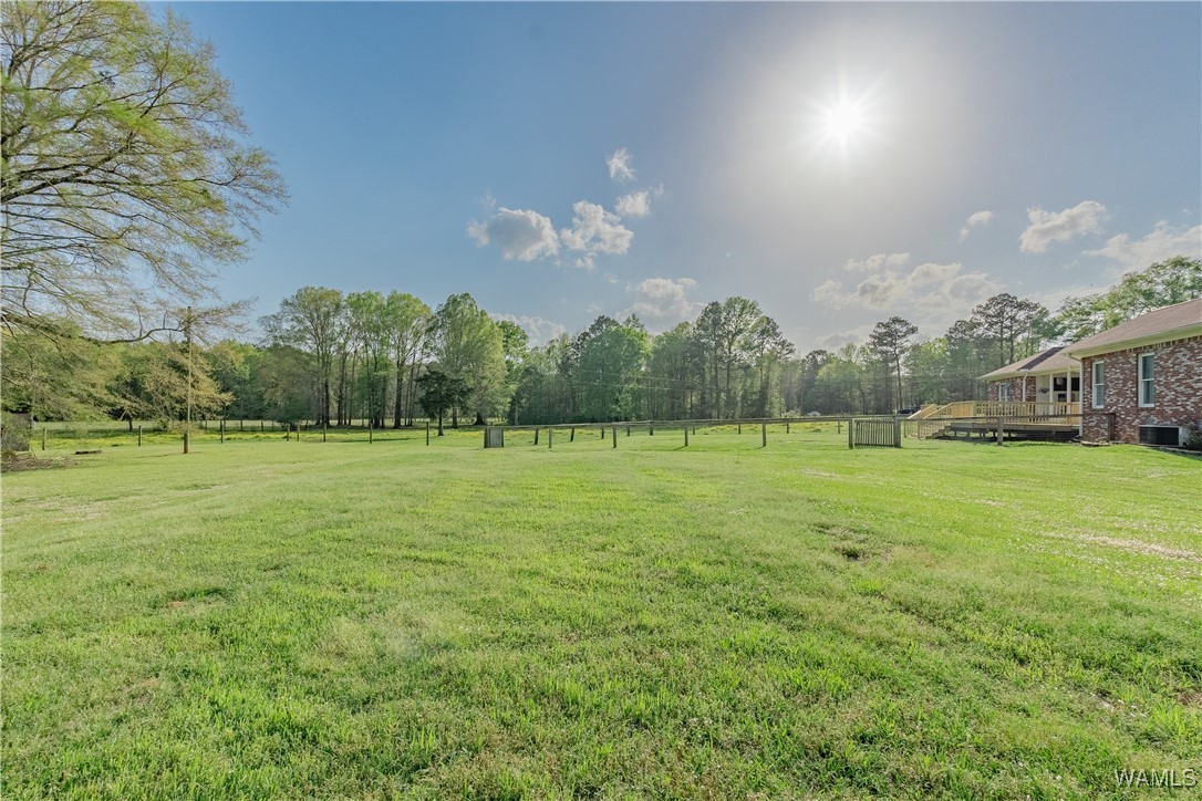 13330 Highway 11, Fosters, Alabama image 30