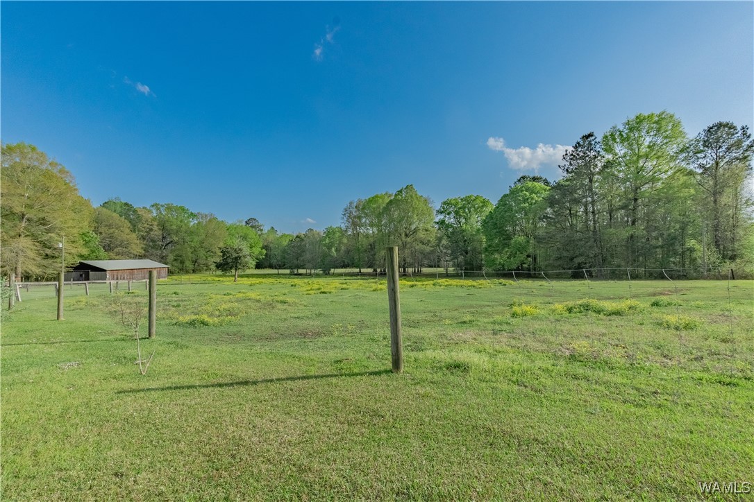 13330 Highway 11, Fosters, Alabama image 4