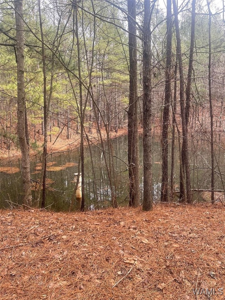 0 Broken Arrow Drive