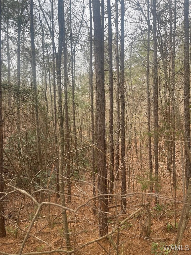 0 Broken Arrow Drive