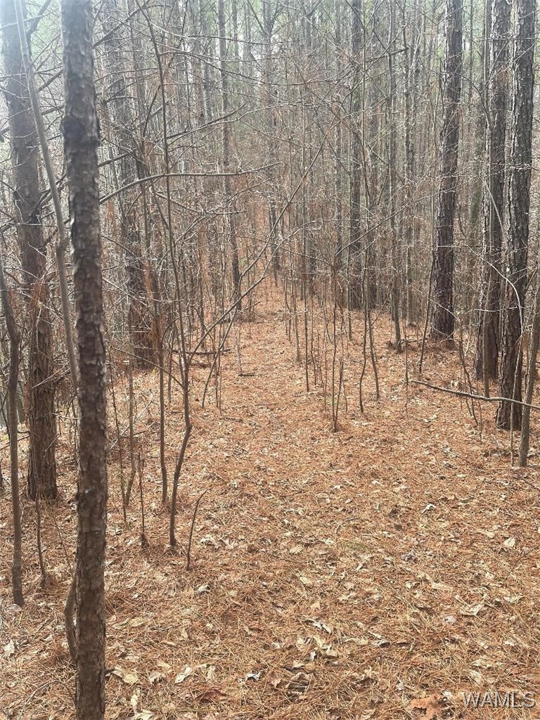 0 Broken Arrow Drive