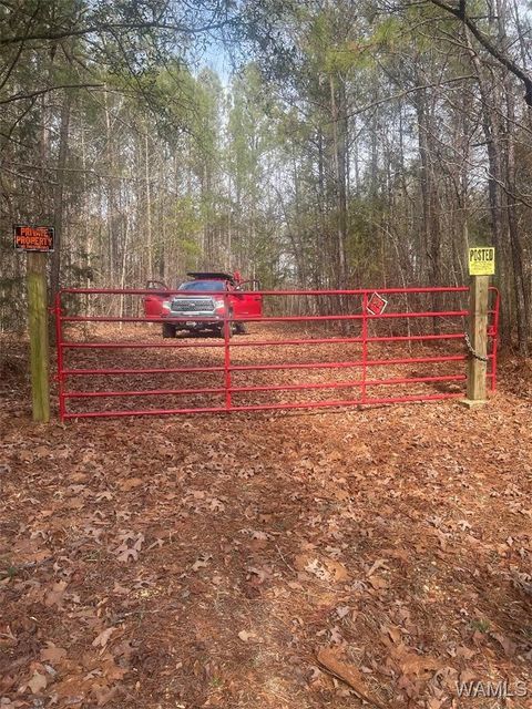 Vacant Land For Sale - Broken Arrow Drive<br/> Brookwood, AL 35444