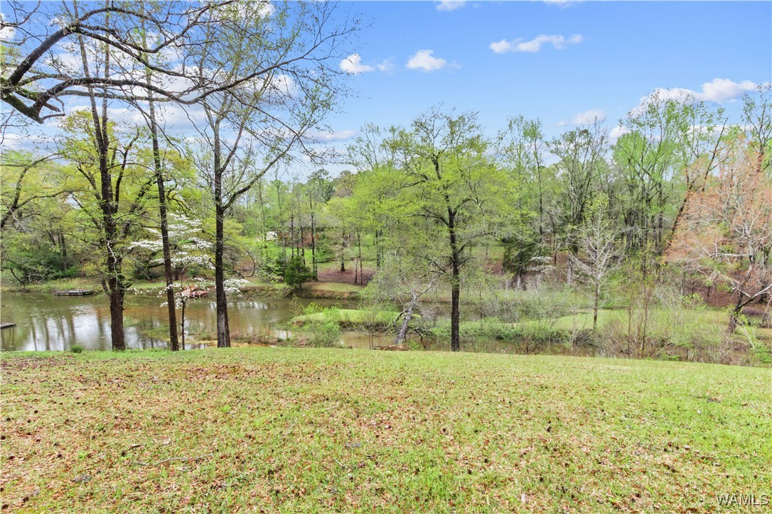 15496 Choctaw Trail, North Port, Alabama image 11