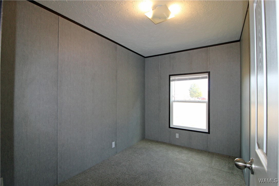 720 Beehive, Sawyerville, Alabama image 26