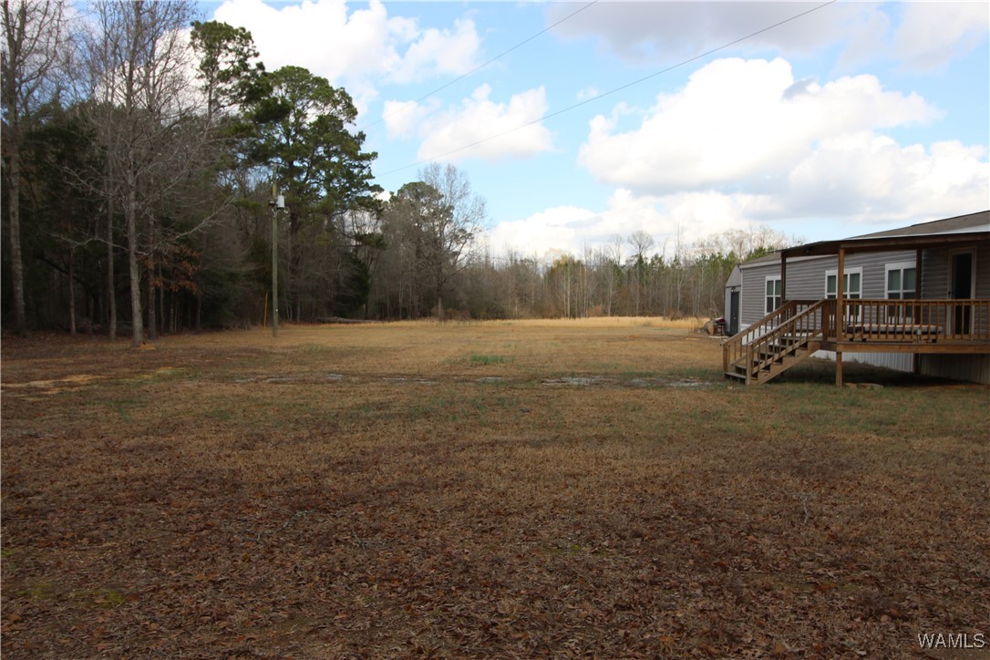 720 Beehive, Sawyerville, Alabama image 29