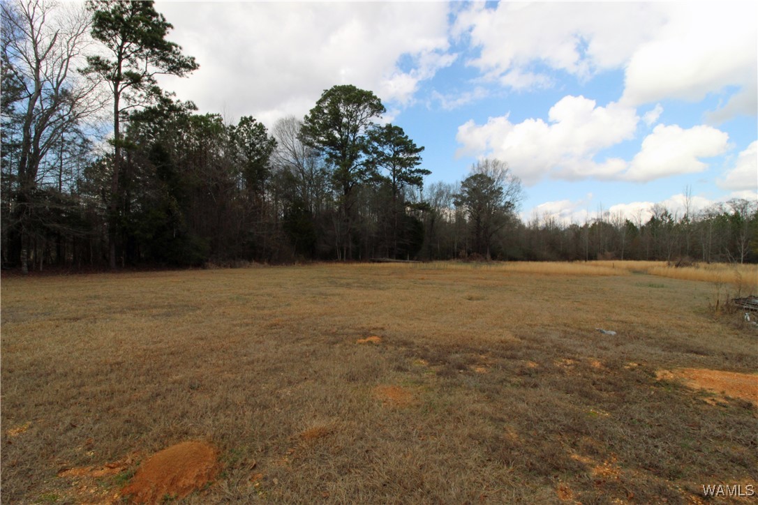 720 Beehive, Sawyerville, Alabama image 35