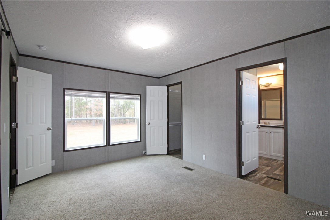720 Beehive, Sawyerville, Alabama image 15